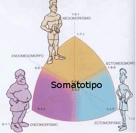 somatotipo